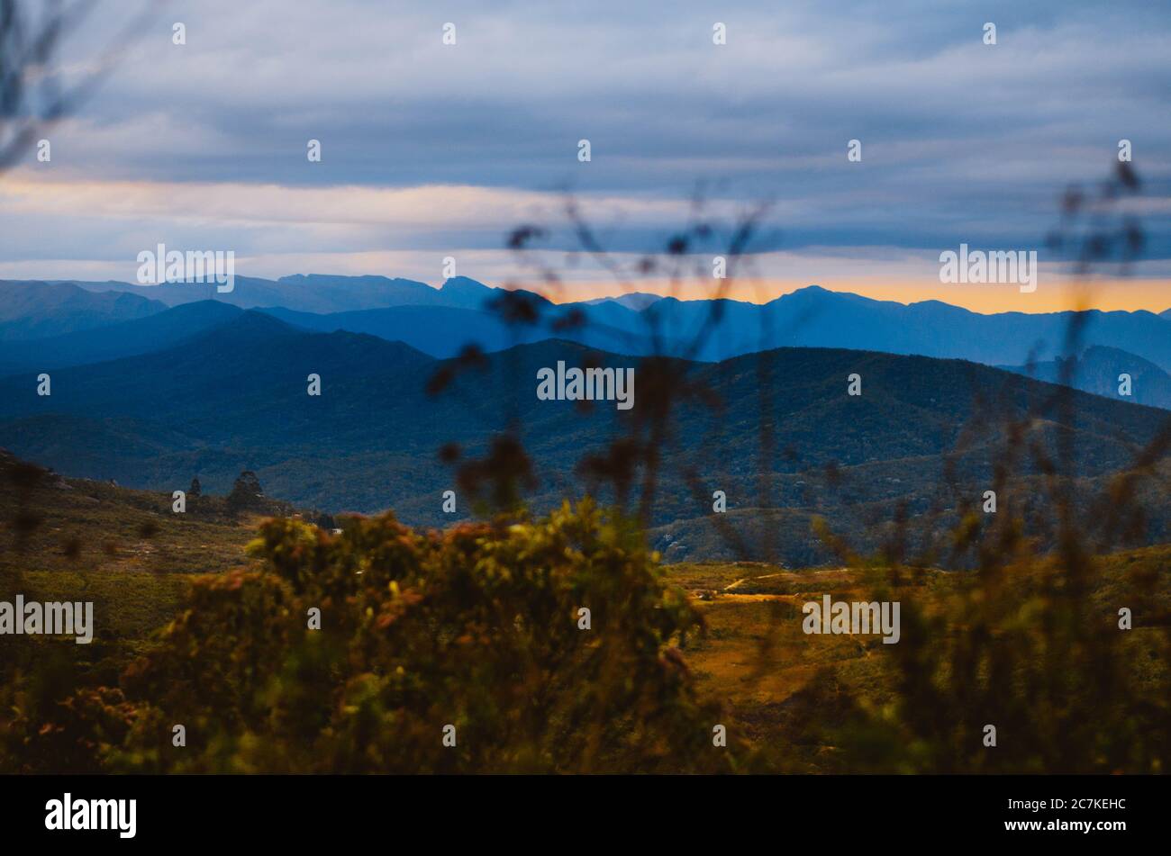 Cerrado brazil grassland hi-res stock photography and images - Alamy