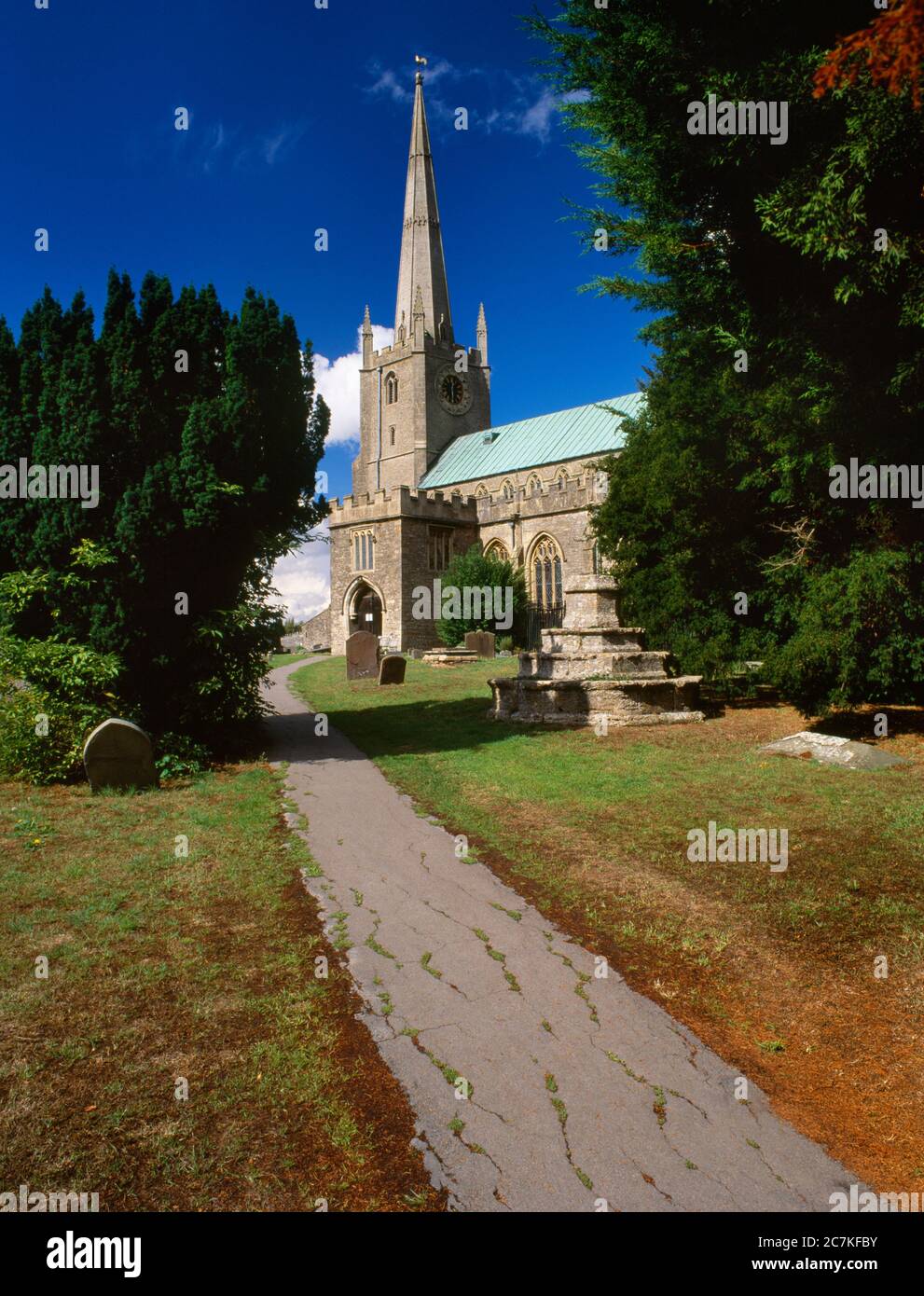 View WNW of St Andrew's Church, Congresbury, North Somerset, England, UK, with St Congar's Walking Stick yew tree to the R: site of a Celtic monastery Stock Photo