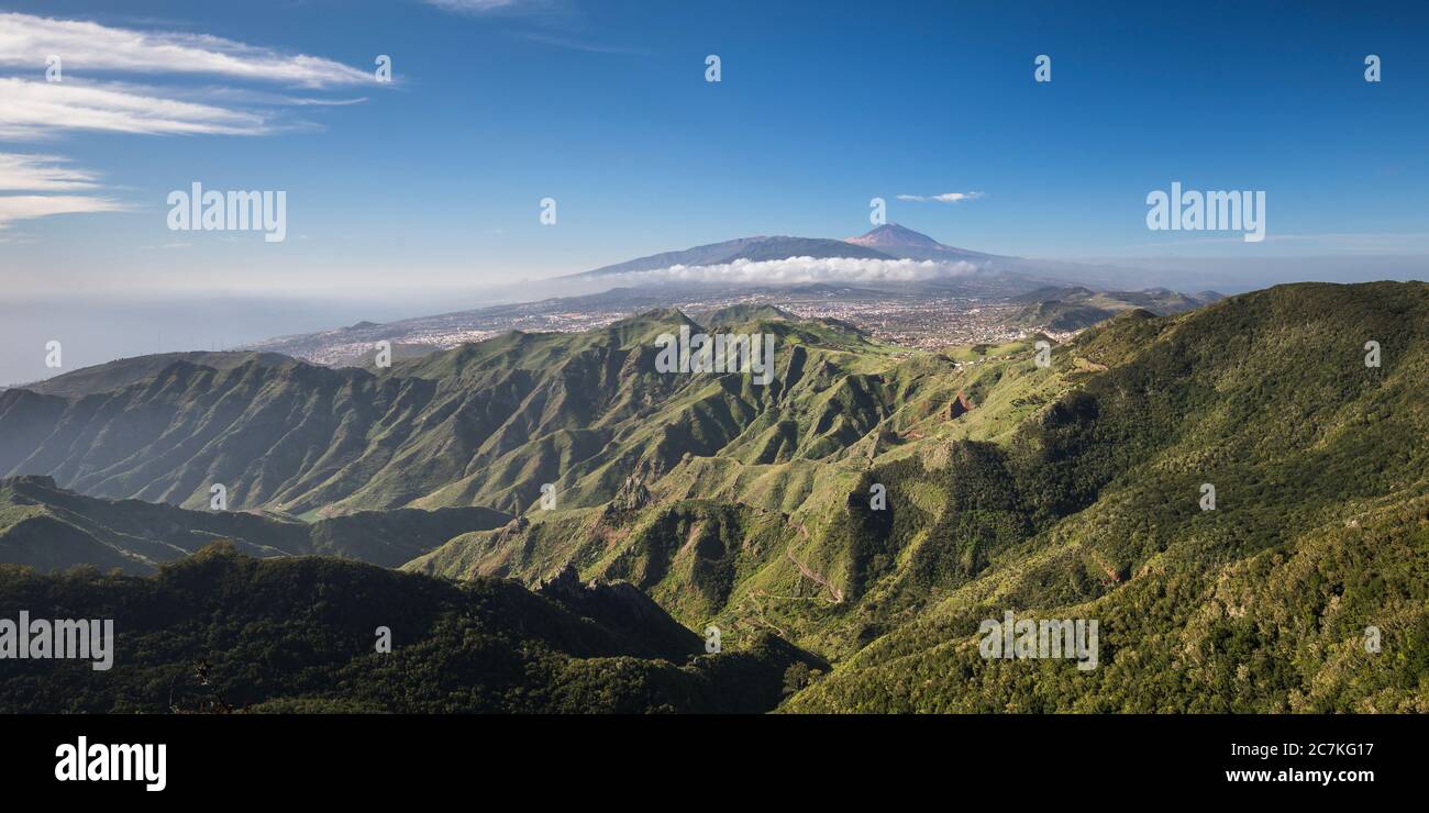 View from the Mirador Pico del Ingles towards the Anaga Mountains towards San Cristobal de La Laguna and the volcano Pico del Teide (3718 m), Tenerife, Canary Islands, Spain Stock Photo