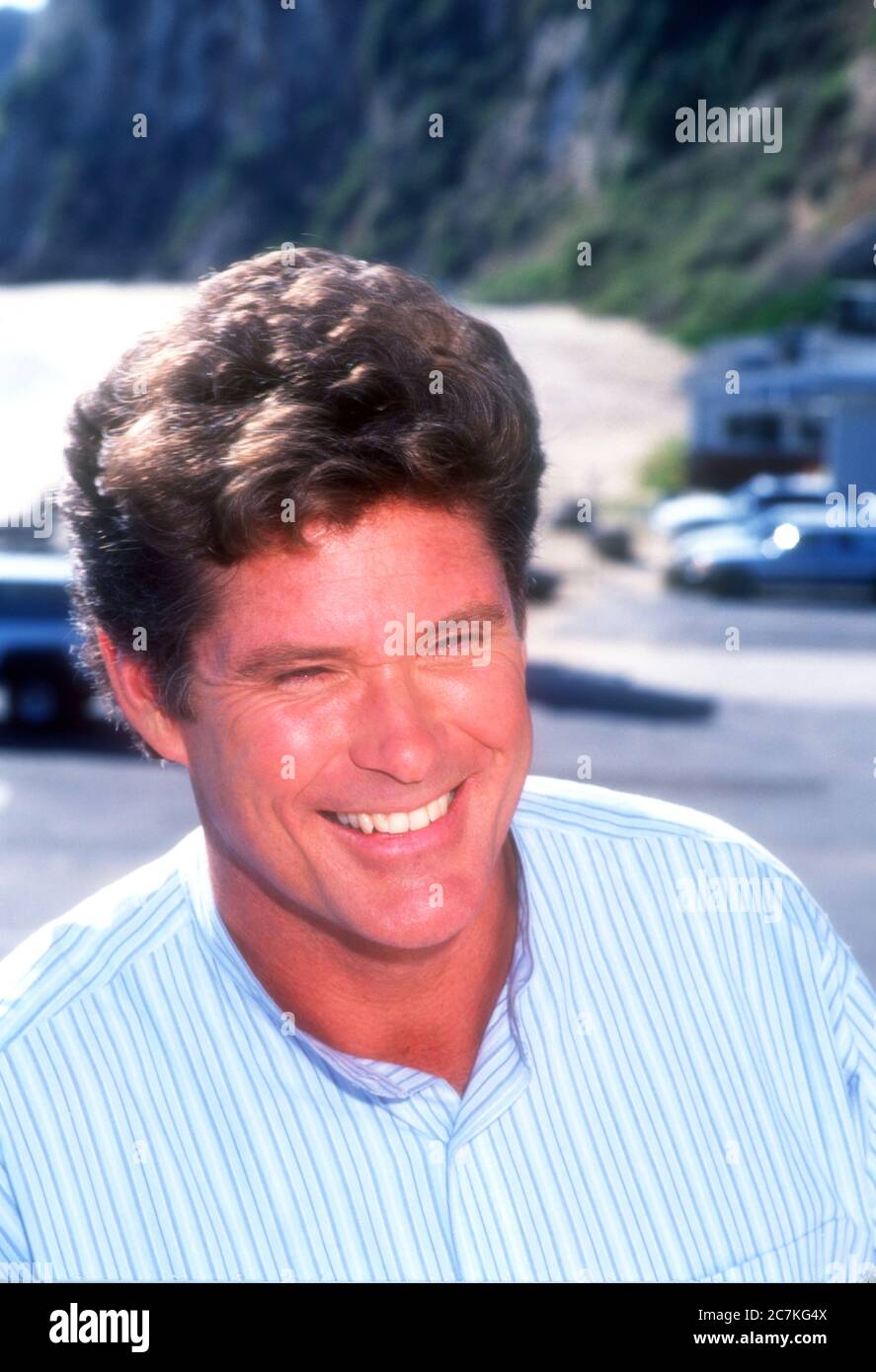 Malibu, California, USA 18th January 1996 (Exclusive) Actor David Hasselhoff poses on the set of Baywatch on January 18, 1996 in Malibu, California, USA. Photo by Barry King/Alamy Stock Photo Stock Photo