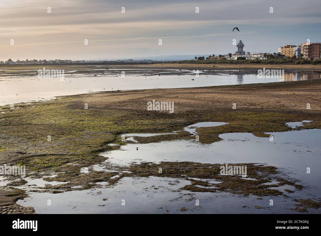 Panoramic view of La Gaviota beach at low tide with Isla Cristina lighthouse in the background. Located in: Huelva, Andalucia, Spain Stock Photo