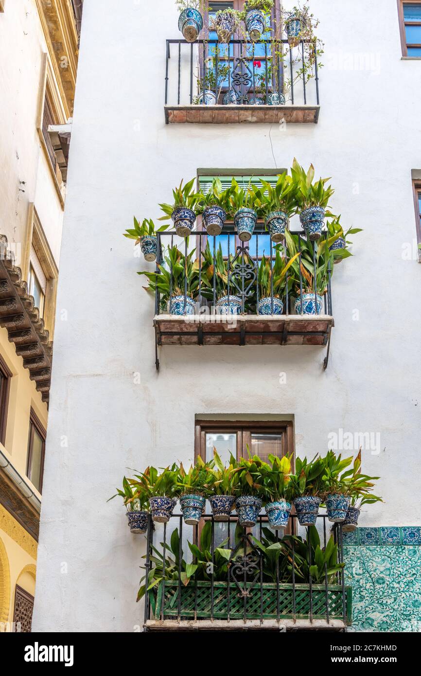 Verdant pot plants fill the balconies of an apartment block in Granada, Stock Photo