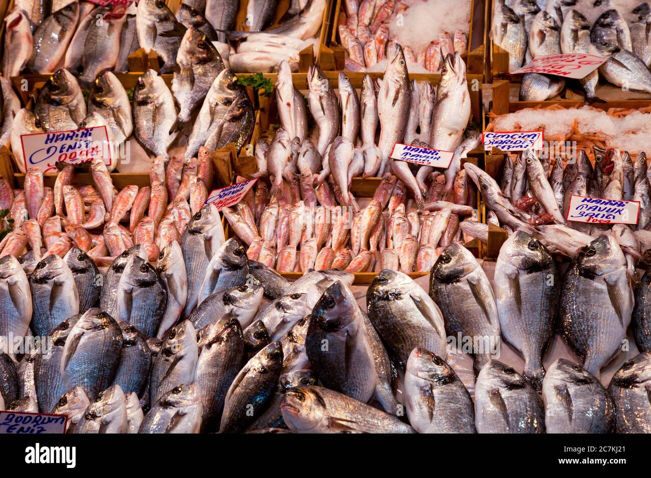 Fish, fish market, supply, fishing, selfcatering Stock Photo Alamy