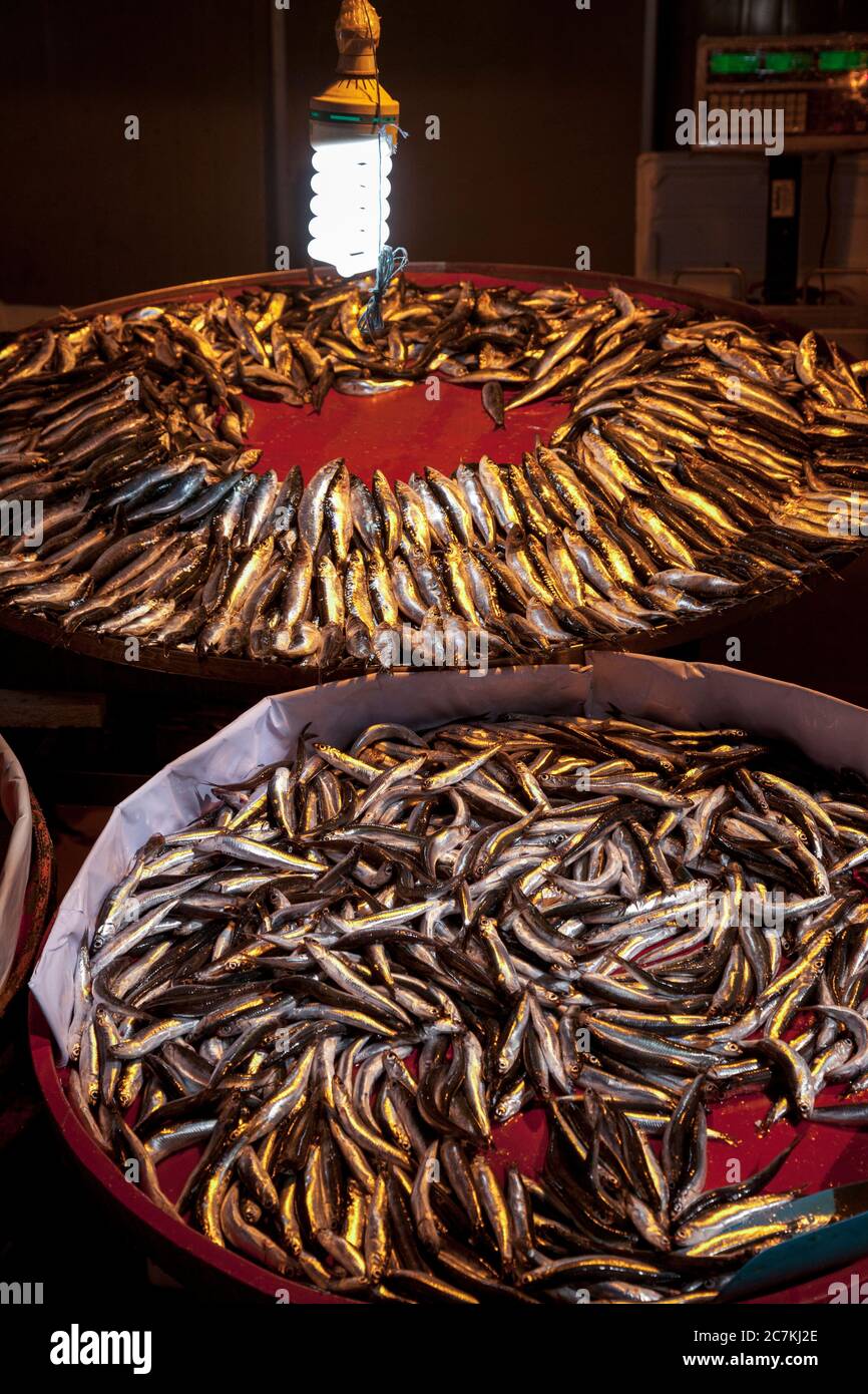 Fish, fish market, supply, fishing, selfcatering Stock Photo Alamy