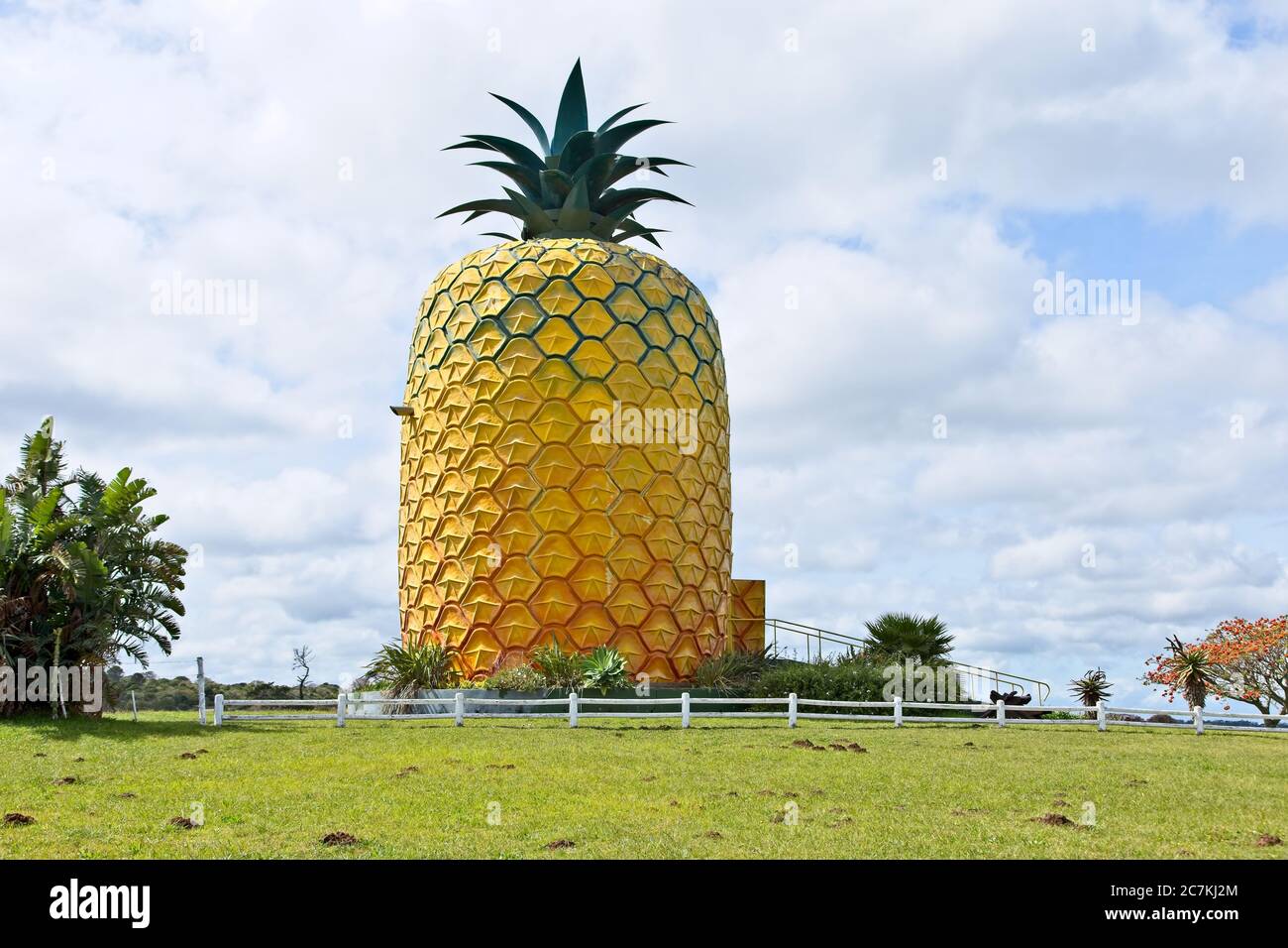 Low angle shot of the Pineapple Bathurst on the grassy fields captured