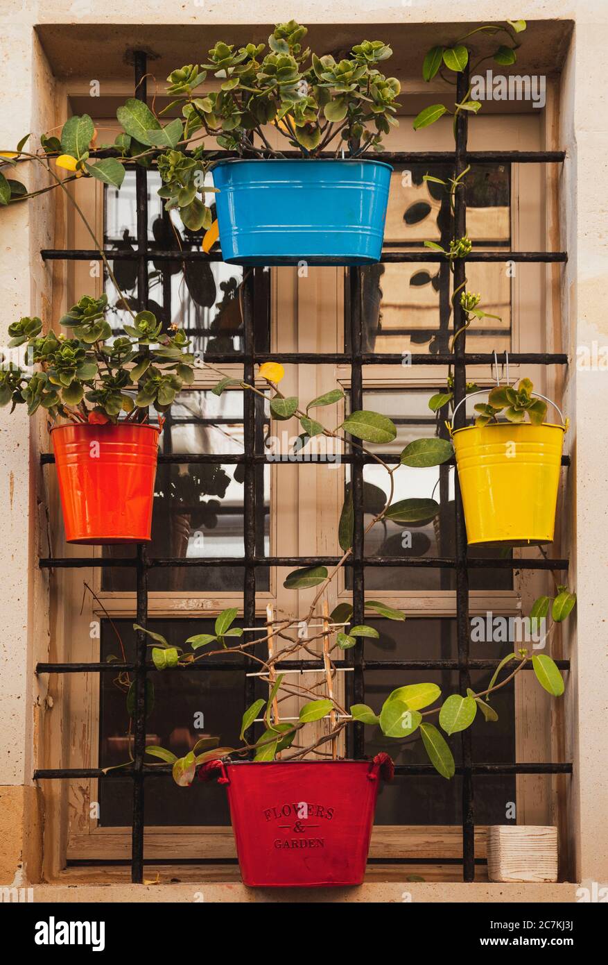 Urban gardening, flower pot, window, plants, sustainability Stock Photo