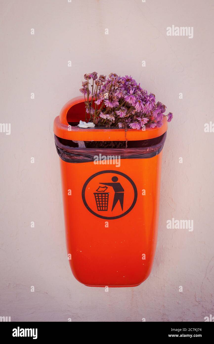 Waste Flowers High Resolution Stock Photography and Images Alamy