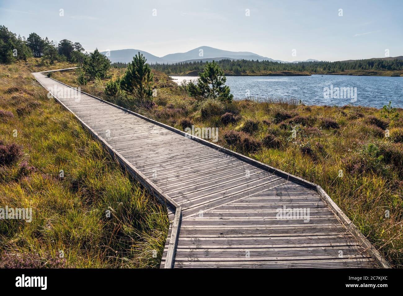 A boardwalk through the Aline Community Woodland, Isle of Lewis, Outer Hebrides, Scotland Stock Photo