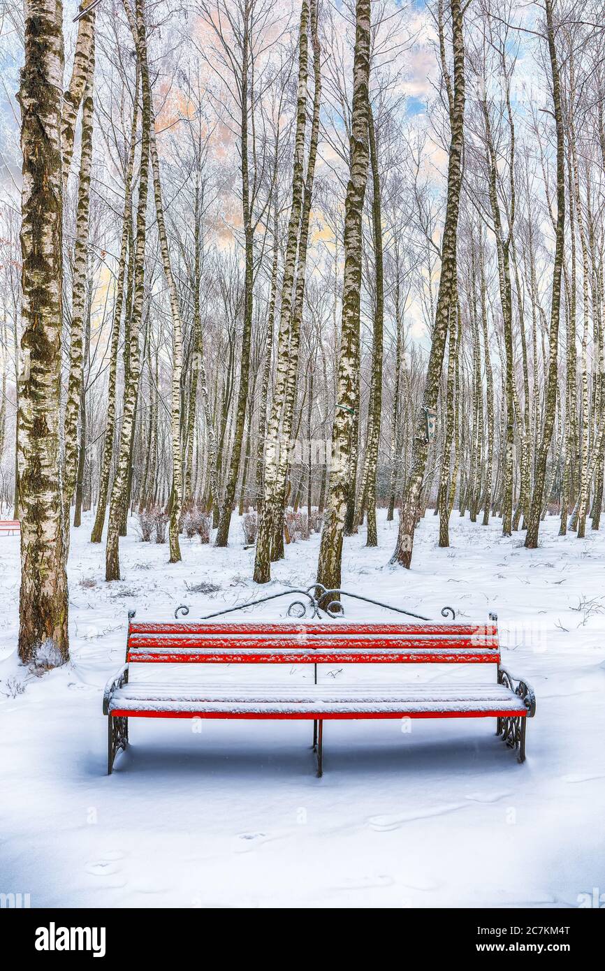 Park bench and trees covered by heavy snow. Lots of snow in city park ...