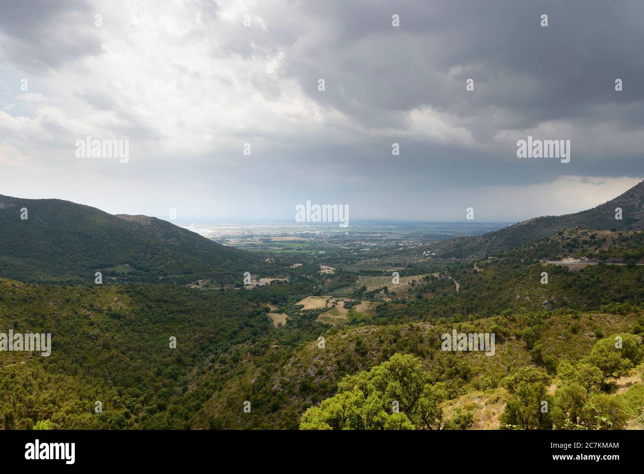 Gulf of roses hires stock photography and images Alamy