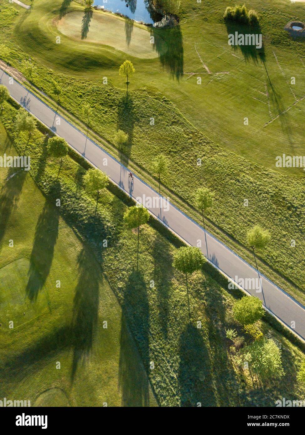 Germany, Baden-Wuerttemberg, Hammetsweil, lonely cyclist on a country road, Baumallee golf course Hammetsweil Stock Photo