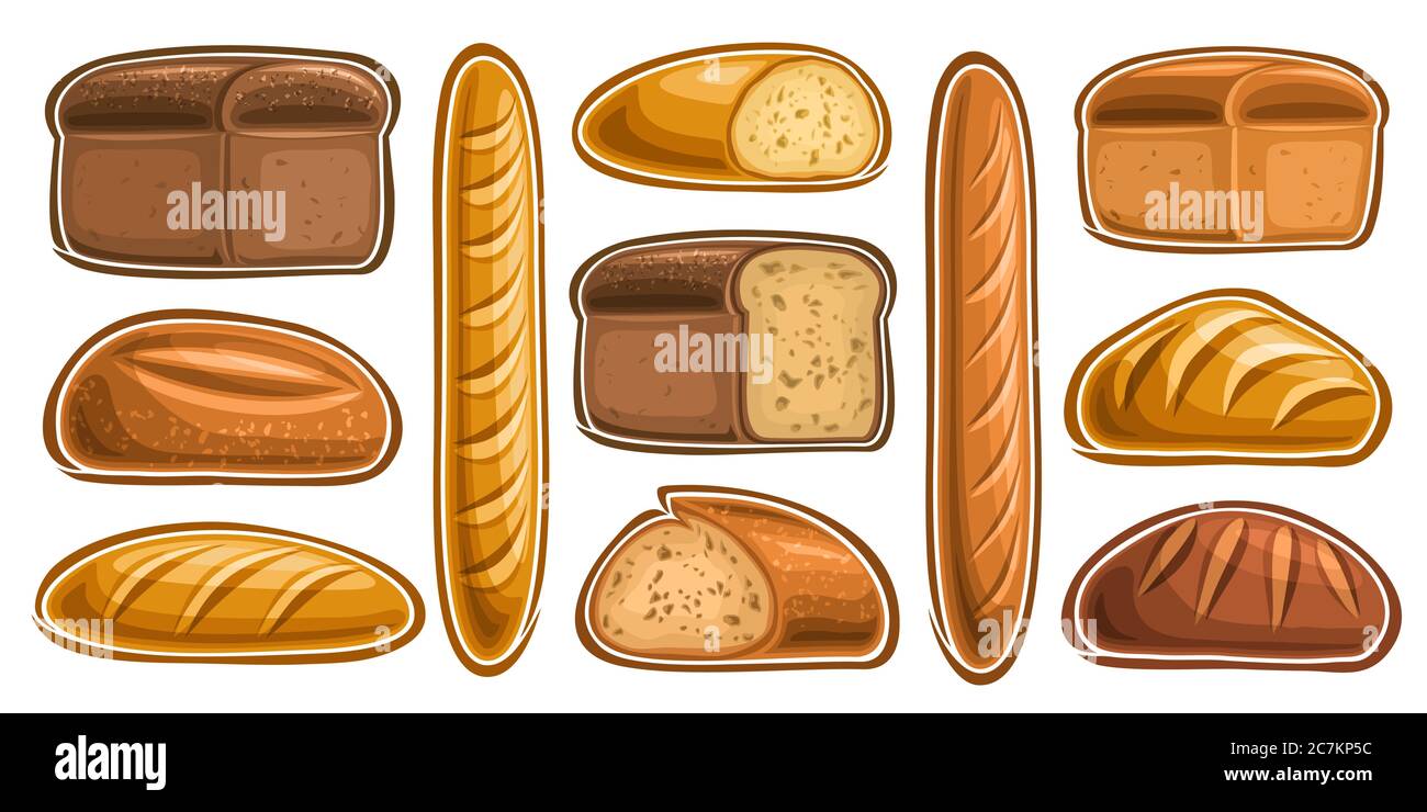 Vector Set of assorted Bread and Bakery, lot collection of 11 cut out illustrations of fresh bread on white background. Stock Vector