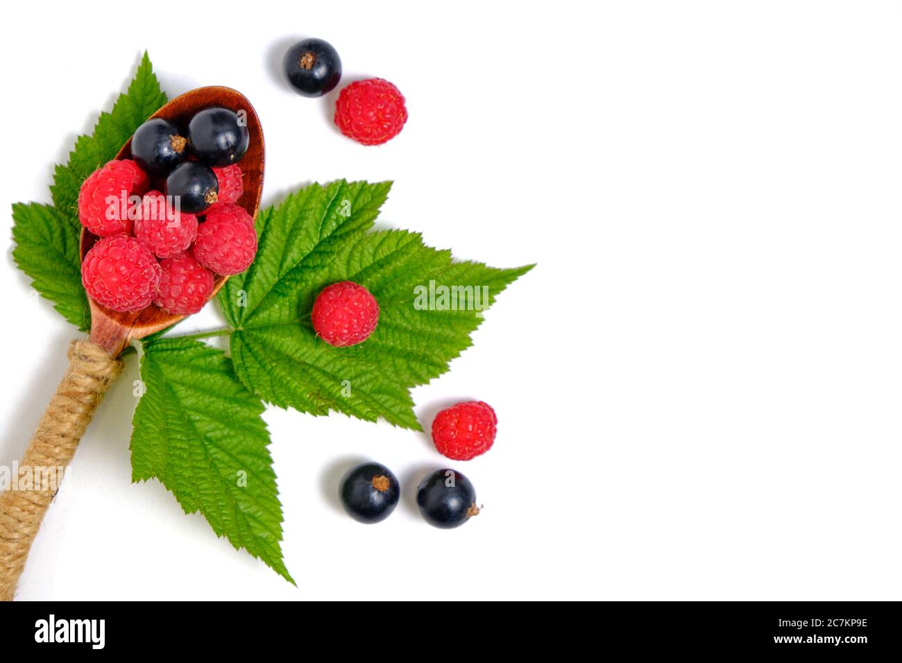 Raspberry and blackcurrant berries on a white background with green ...
