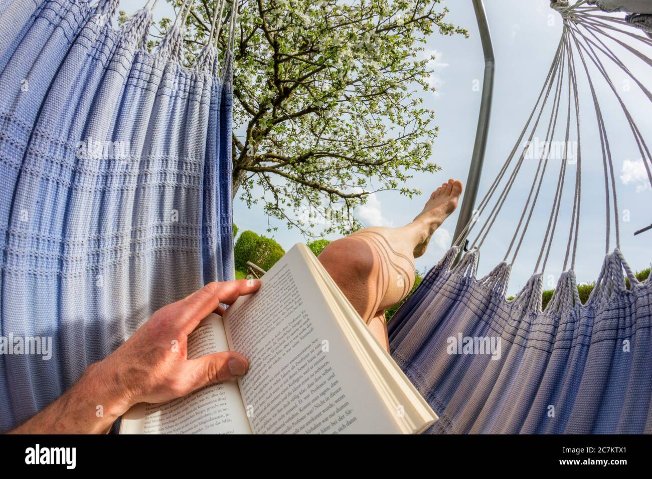 Man in hammock in the garden Stock Photo