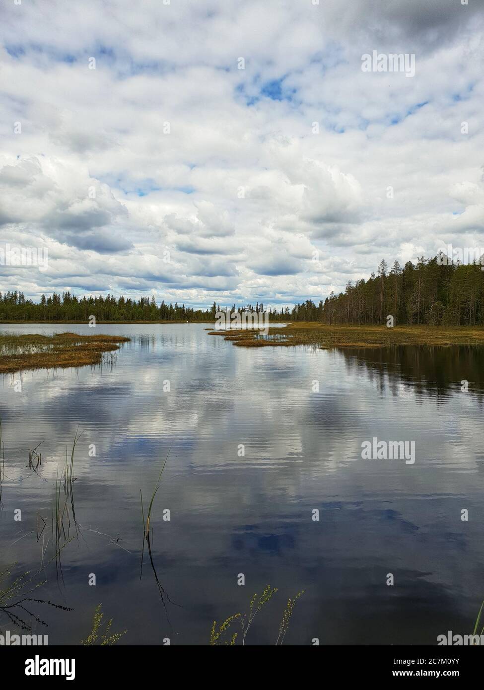 Vertical shot of a lake surrounded by trees and a reflection of the sky ...