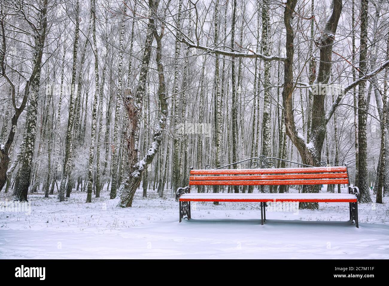 Park bench and trees covered by heavy snow. Lots of snow Stock Photo ...