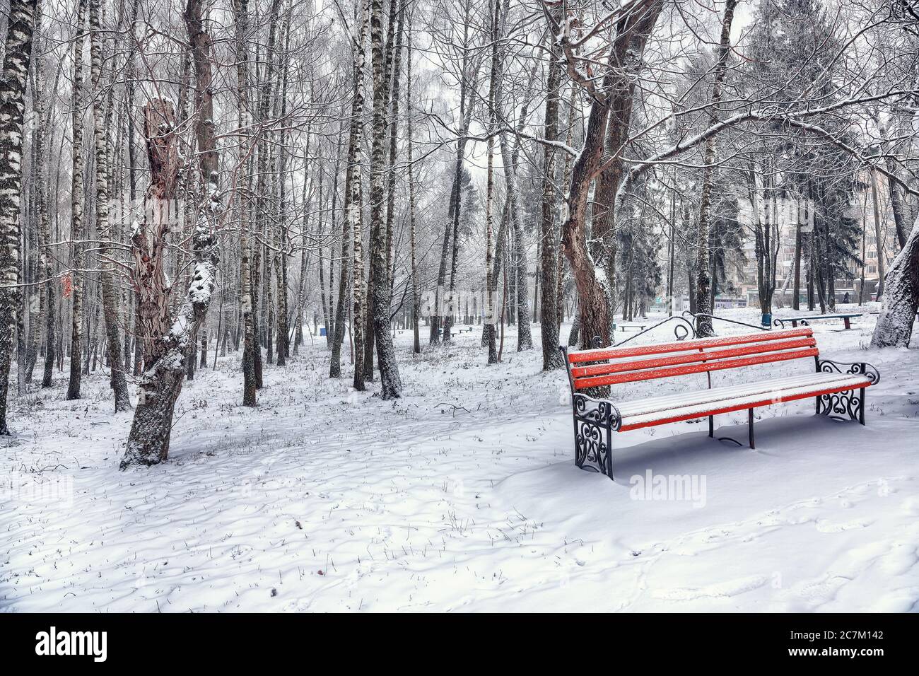 Park bench and trees covered by heavy snow. Lots of snow Stock Photo ...