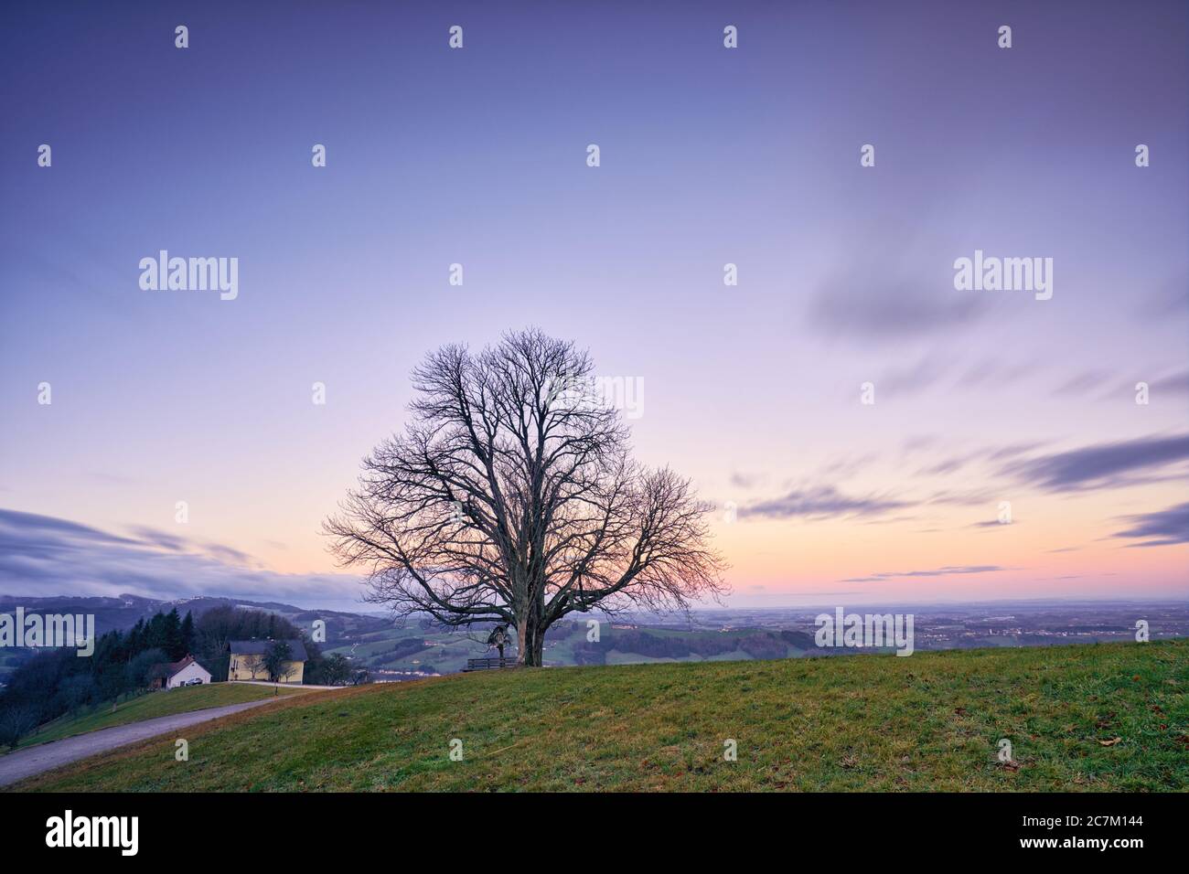 Lonely tree on a hill hi-res stock photography and images - Alamy