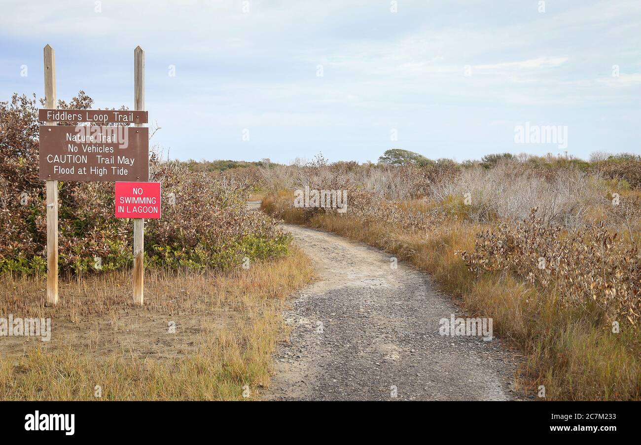 Grand Isle, Louisiana February 2018 Fiddlers Loop Nature Trail is one easy hiking option at
