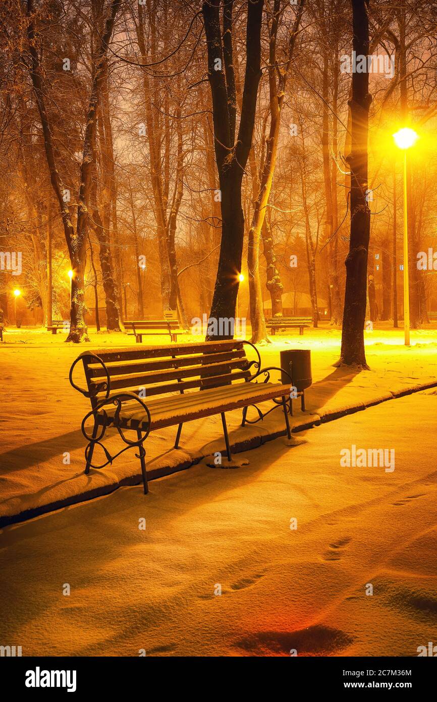 Winter evening in a central park. Benches covered in snow in a big park ...