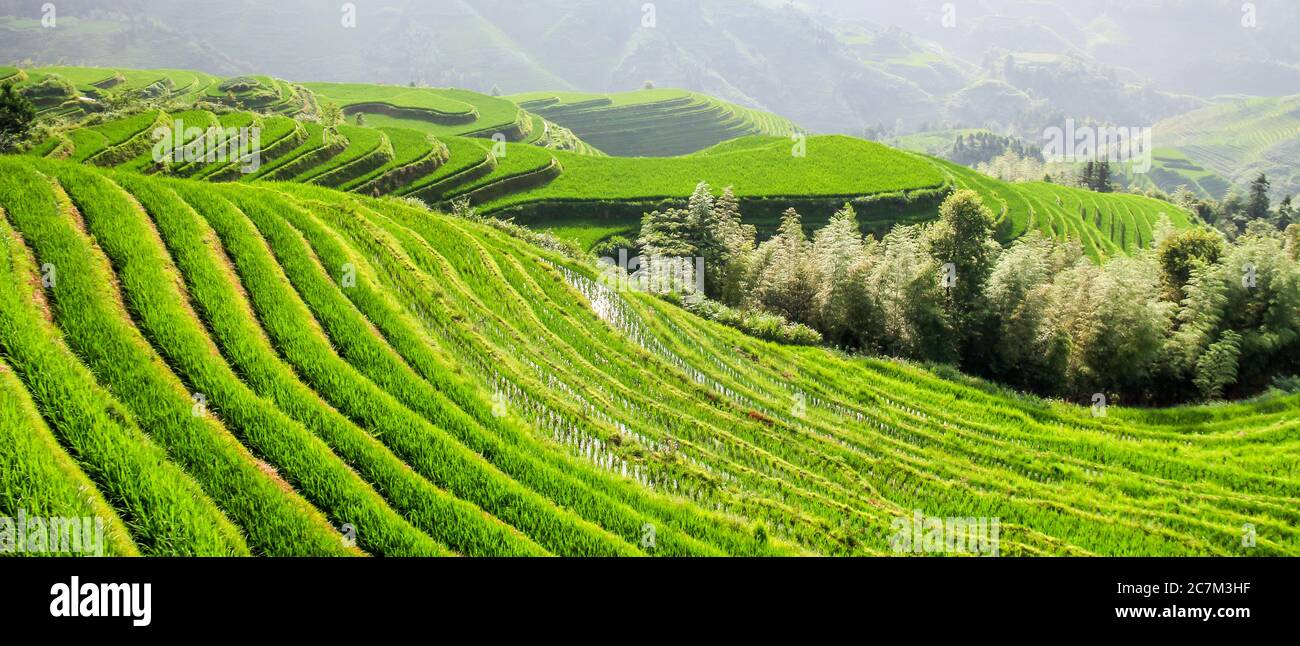 Rice terrance hi-res stock photography and images - Alamy