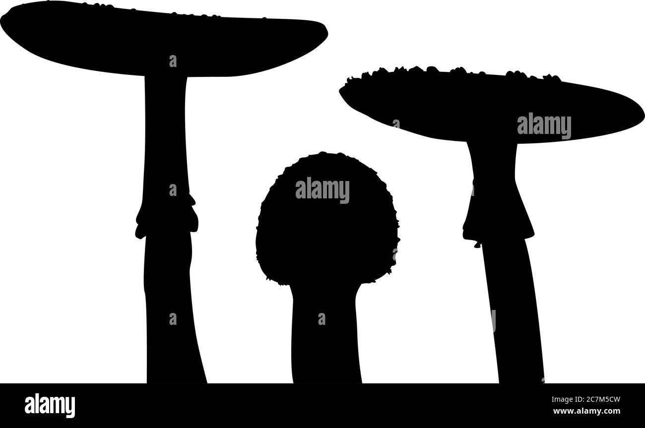 Set of three silhouettes of amanita spp Stock Vector
