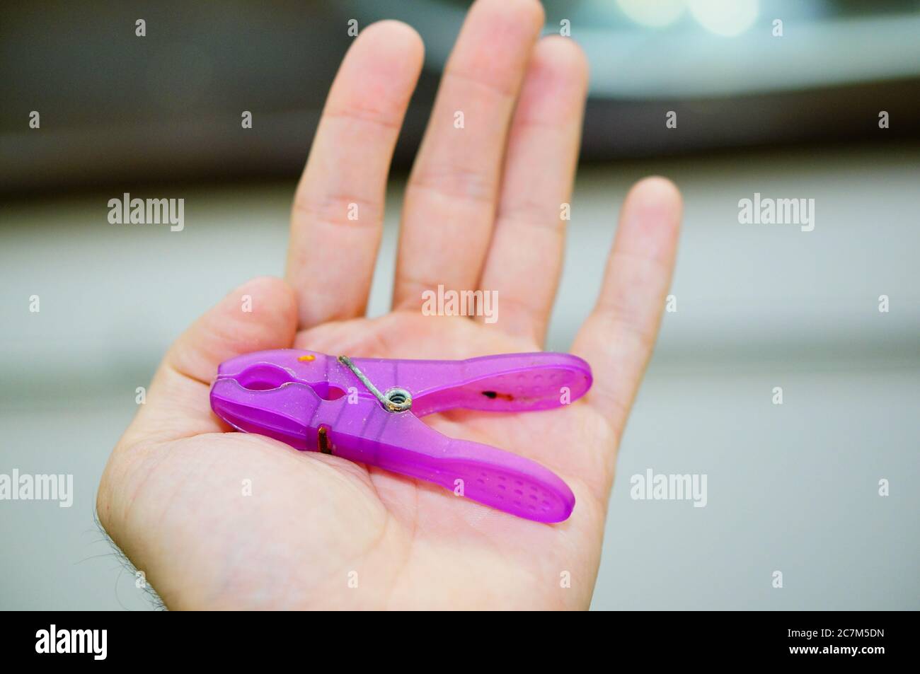 Purple clothespin put in a person's palm during daytime Stock Photo