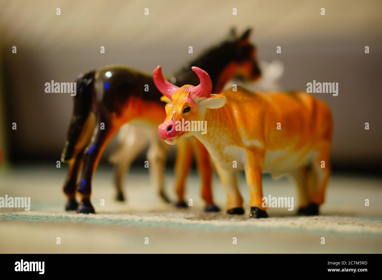 Closeup shot of toys of a bull and horse in a room Stock Photo