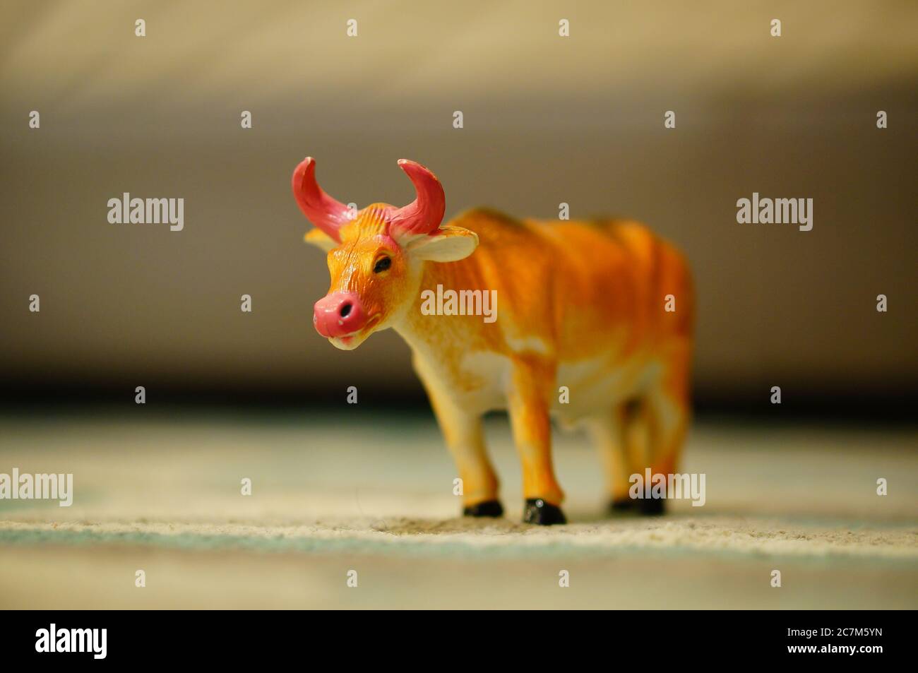 Closeup shot of a toy of a bull in a room Stock Photo