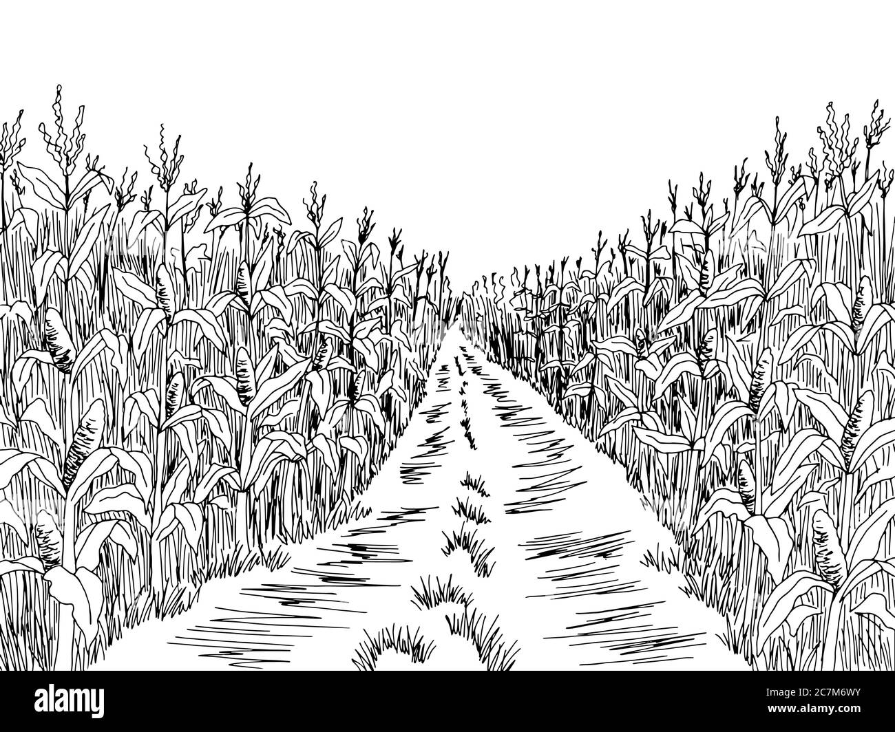 Cornfield road graphic black white landscape sketch illustration vector Stock Vector