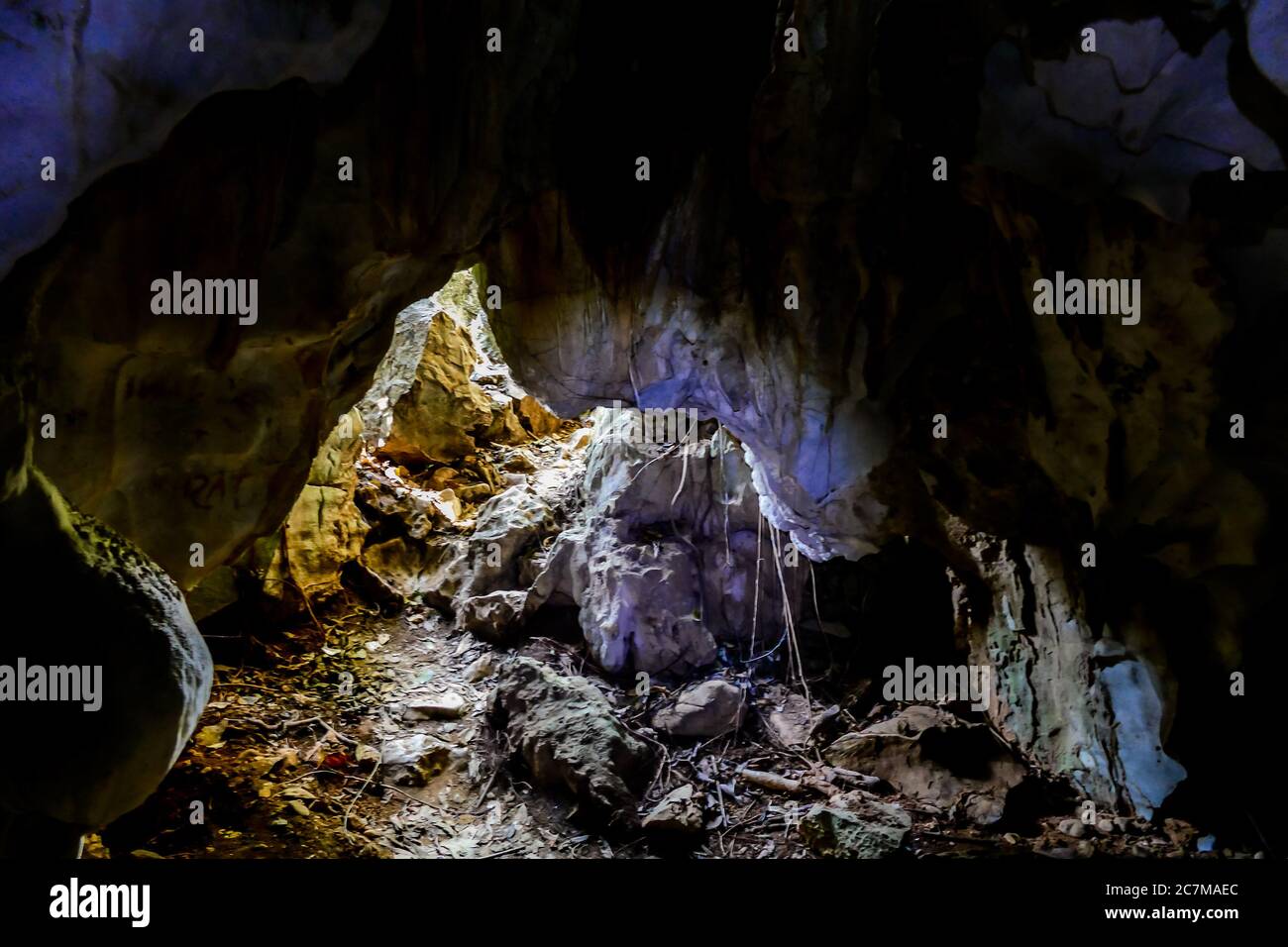 fire in forest, beautiful photo digital picture Stock Photo - Alamy
