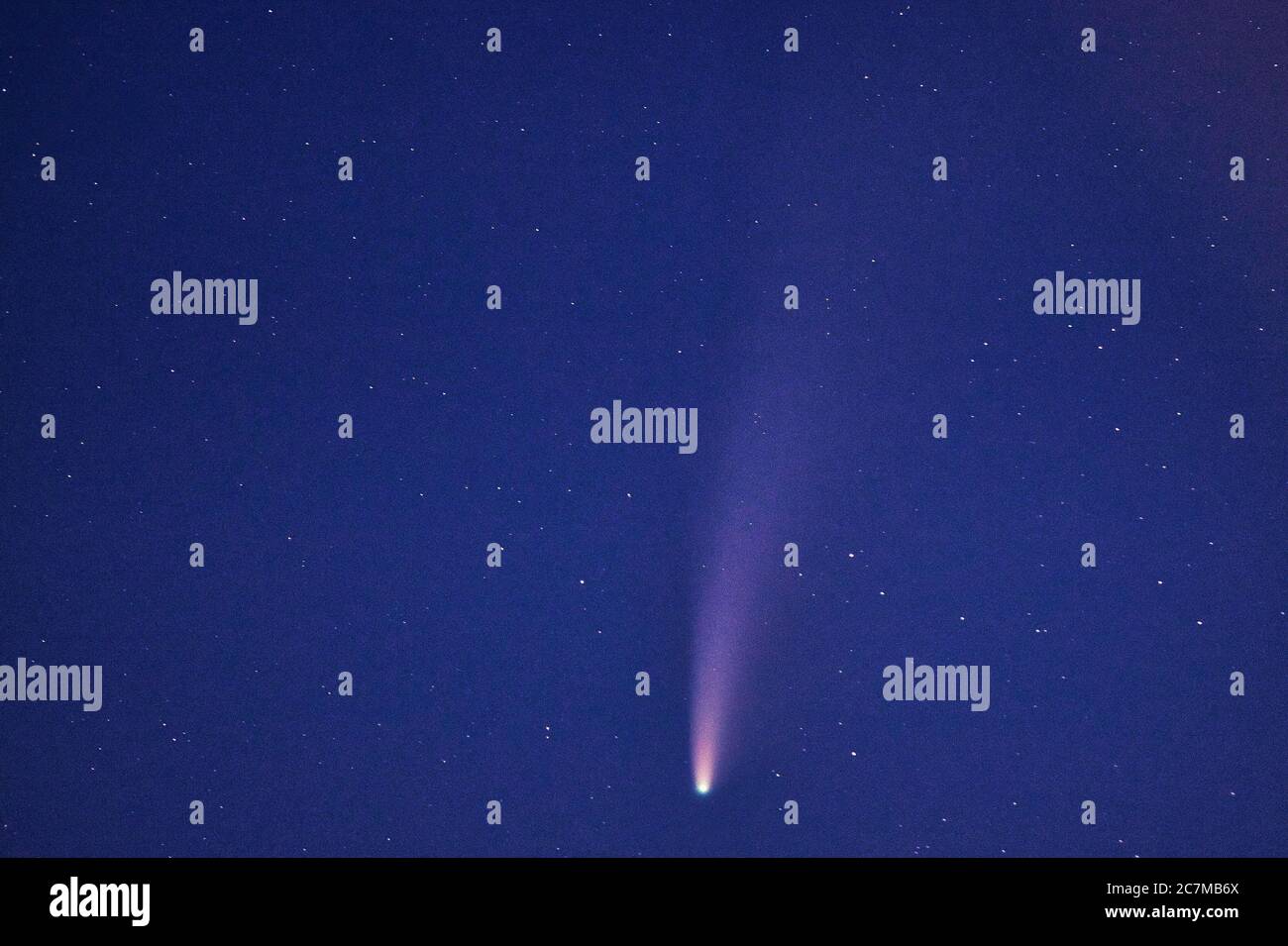 Comet Neowise über Sportplatz in Werlte Stock Photo