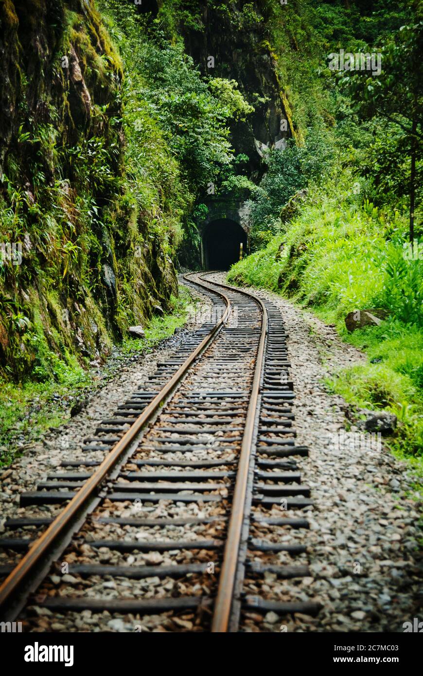 Railway through the forest, Aguas Calientes, Peru , South America Stock Photo