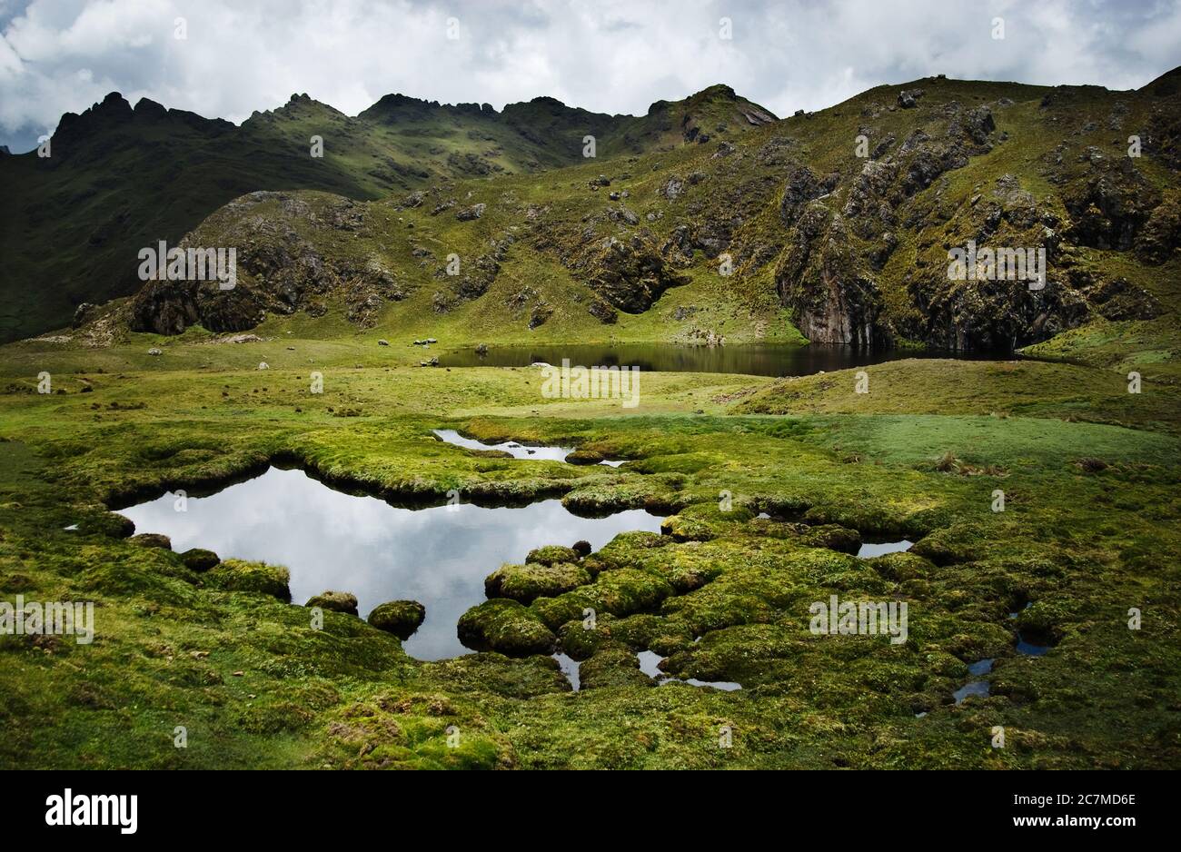 Peru scotland hi-res stock photography and images - Alamy