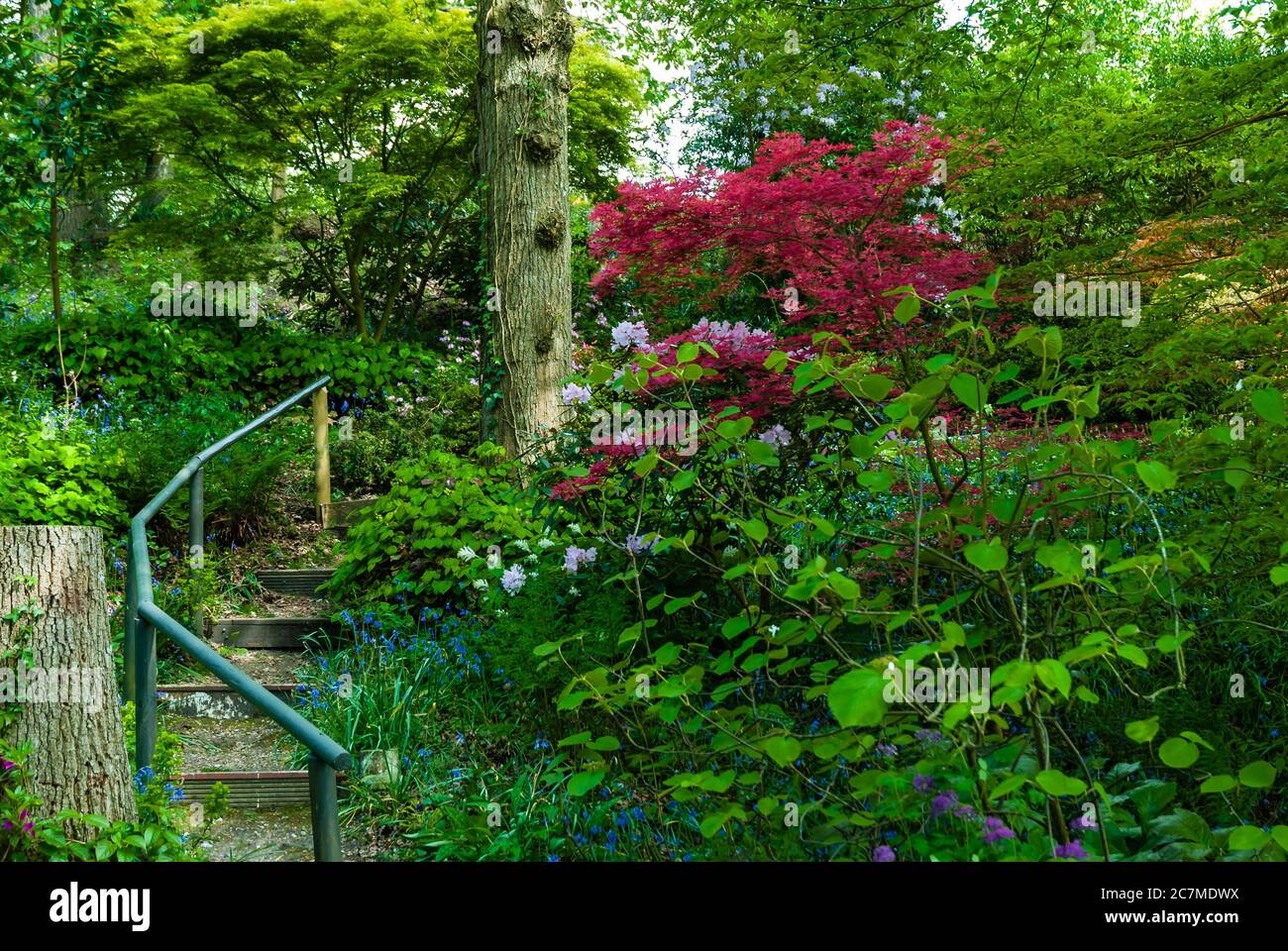 Spinners Garden, Hampshire Stock Photo Alamy
