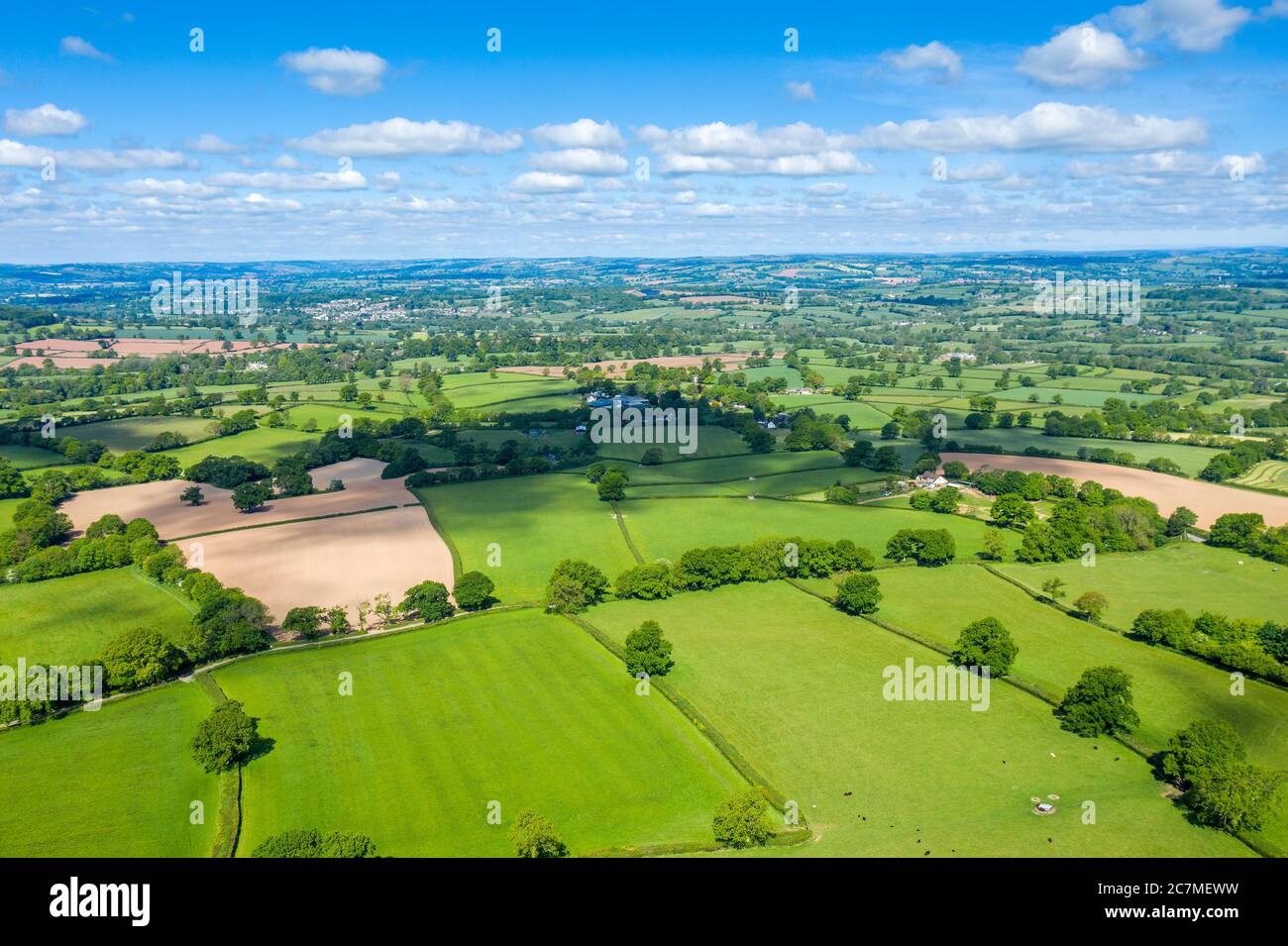 Blackdown Hills, Areas of Outstanding Natural Beauty near Craddock, Devon, England, United Kingdom, Europe Stock Photo