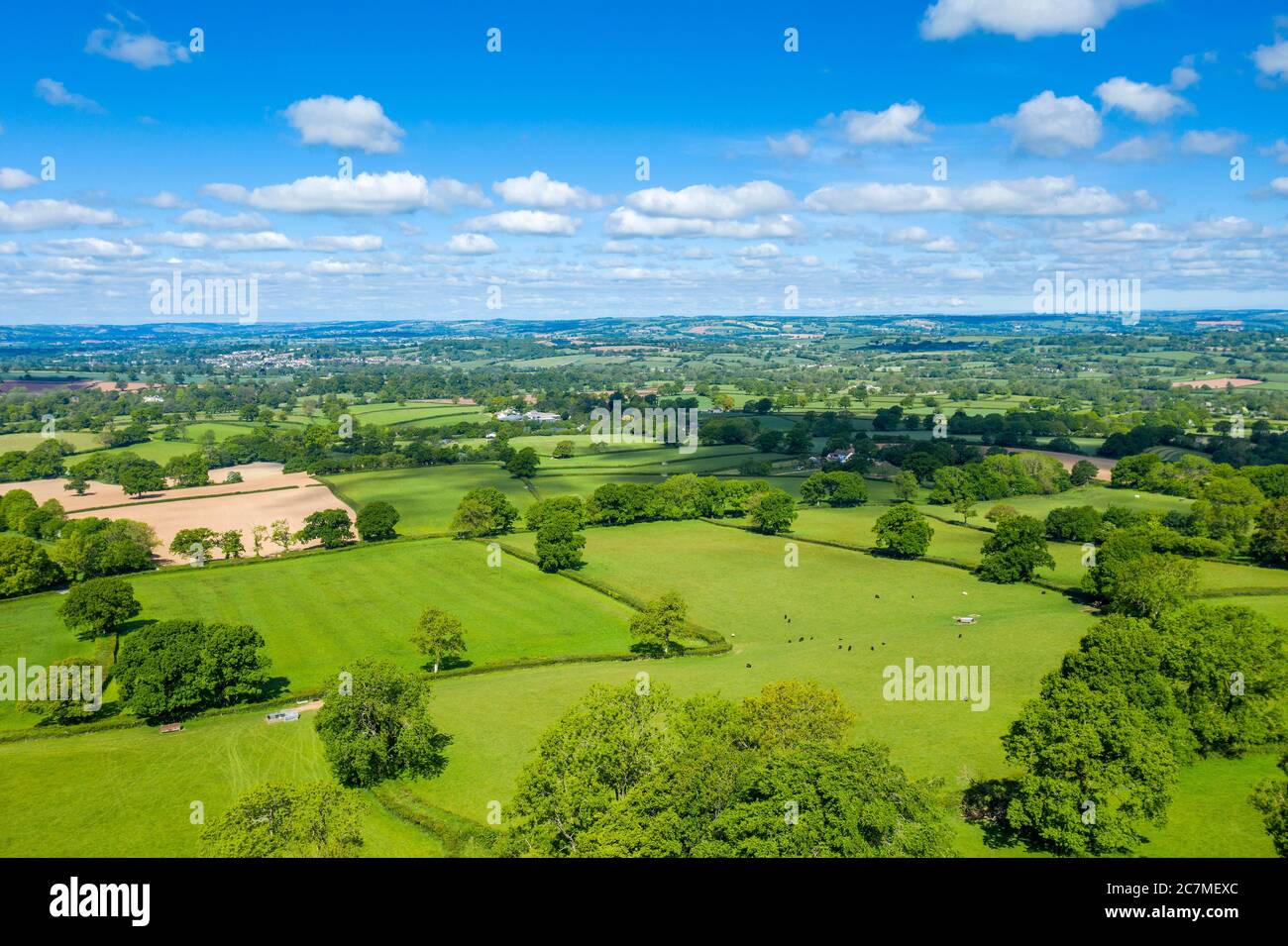 Blackdown Hills, Areas of Outstanding Natural Beauty near Craddock, Devon, England, United Kingdom, Europe Stock Photo