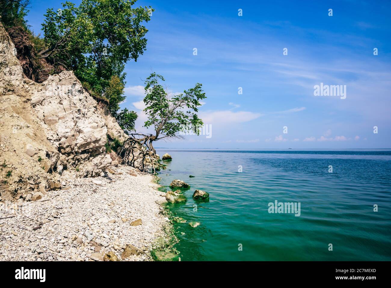 Tree green leaves shore hi-res stock photography and images - Alamy