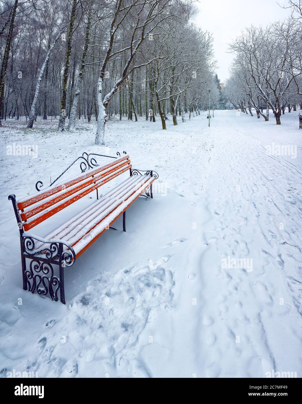 Park bench and trees covered by heavy snow. Lots of snow Stock Photo ...