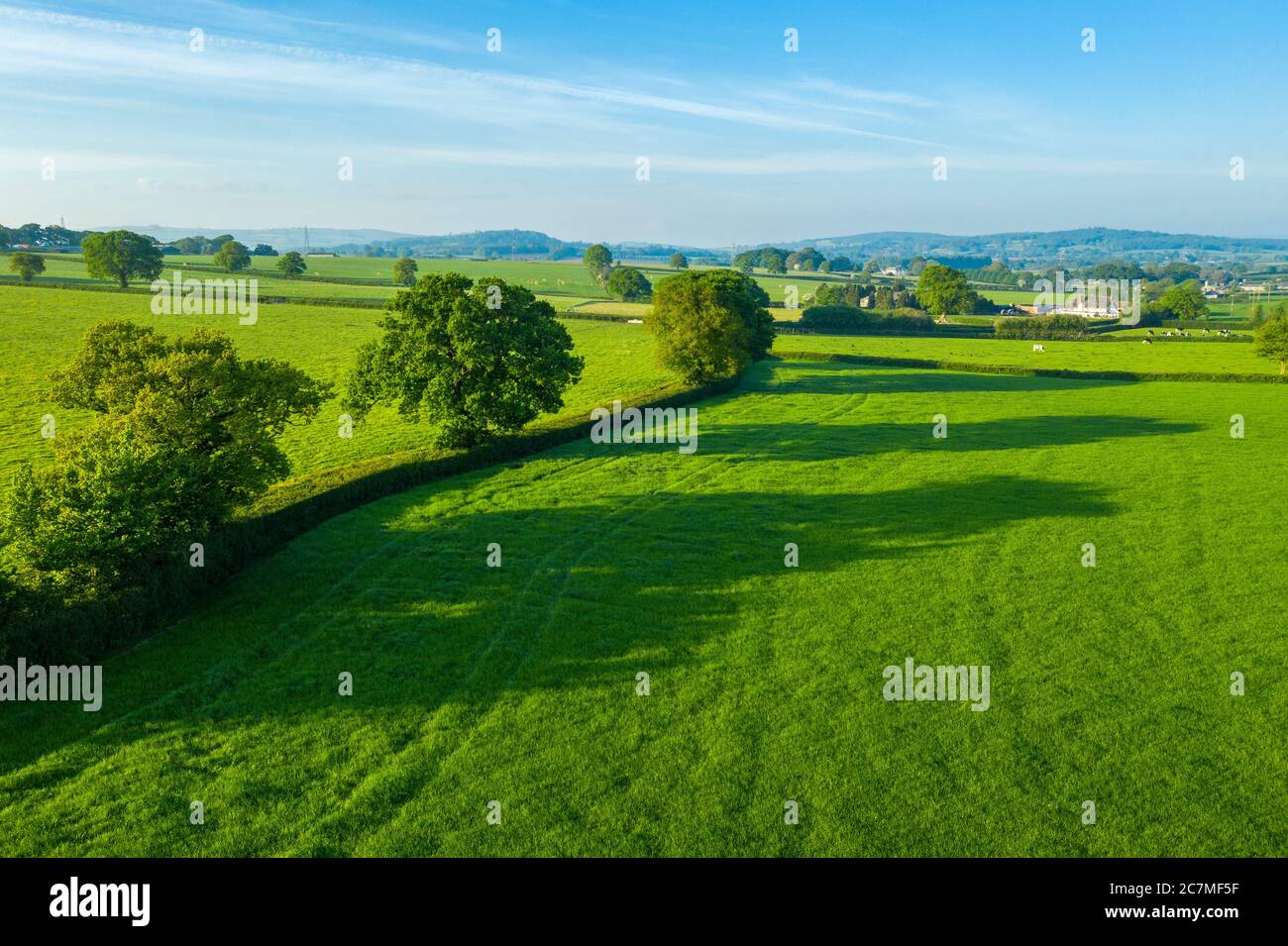 Spring in Devon near Exeter, Devon, England, United Kingdom, Europe Stock Photo