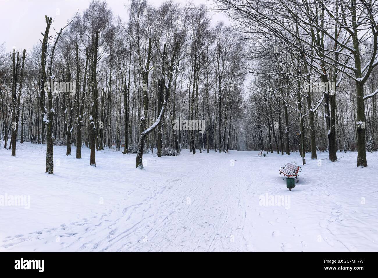 Park bench and trees covered by heavy snow. Lots of snow Stock Photo ...