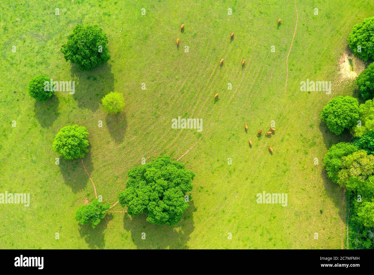 Spring In Exeter West clyst exeter hi-res stock photography and images - Alamy