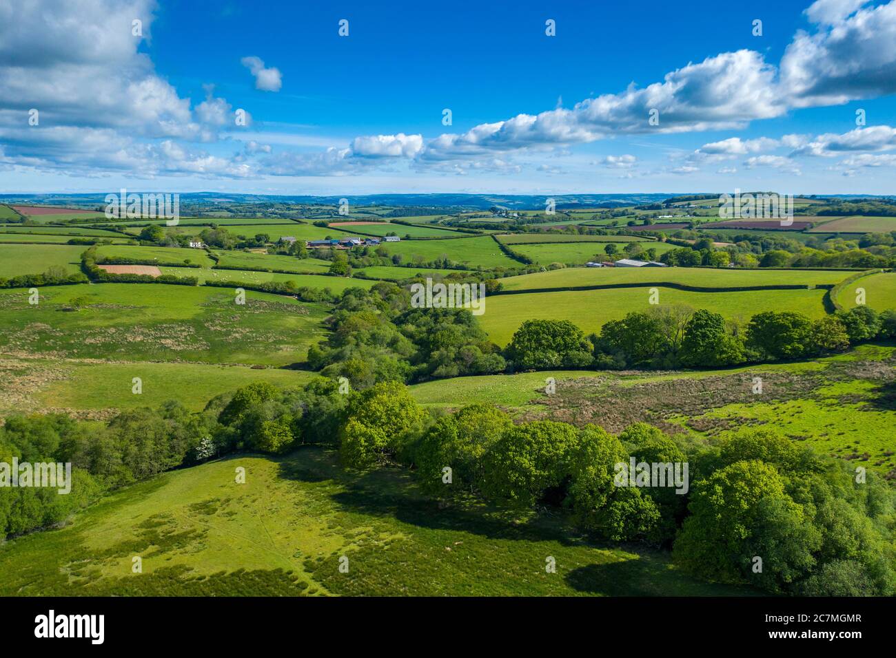 Spring in Devon near Tiverton, Devon, England, United Kingdom, Europe Stock Photo