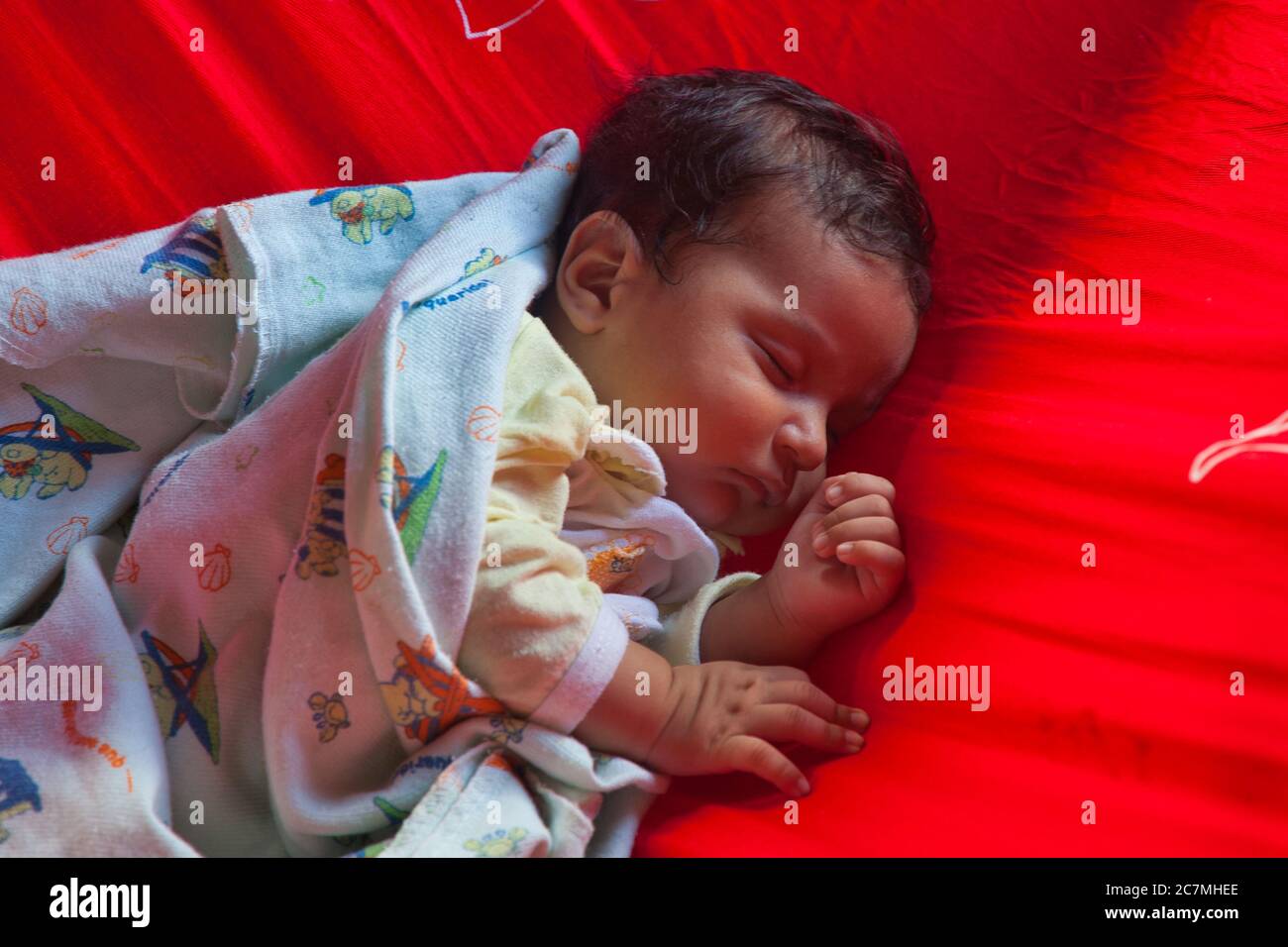 A lovely little baby asleep in a hammock  in the village of Boca De Valeria, Amazonas State, Brazil Stock Photo
