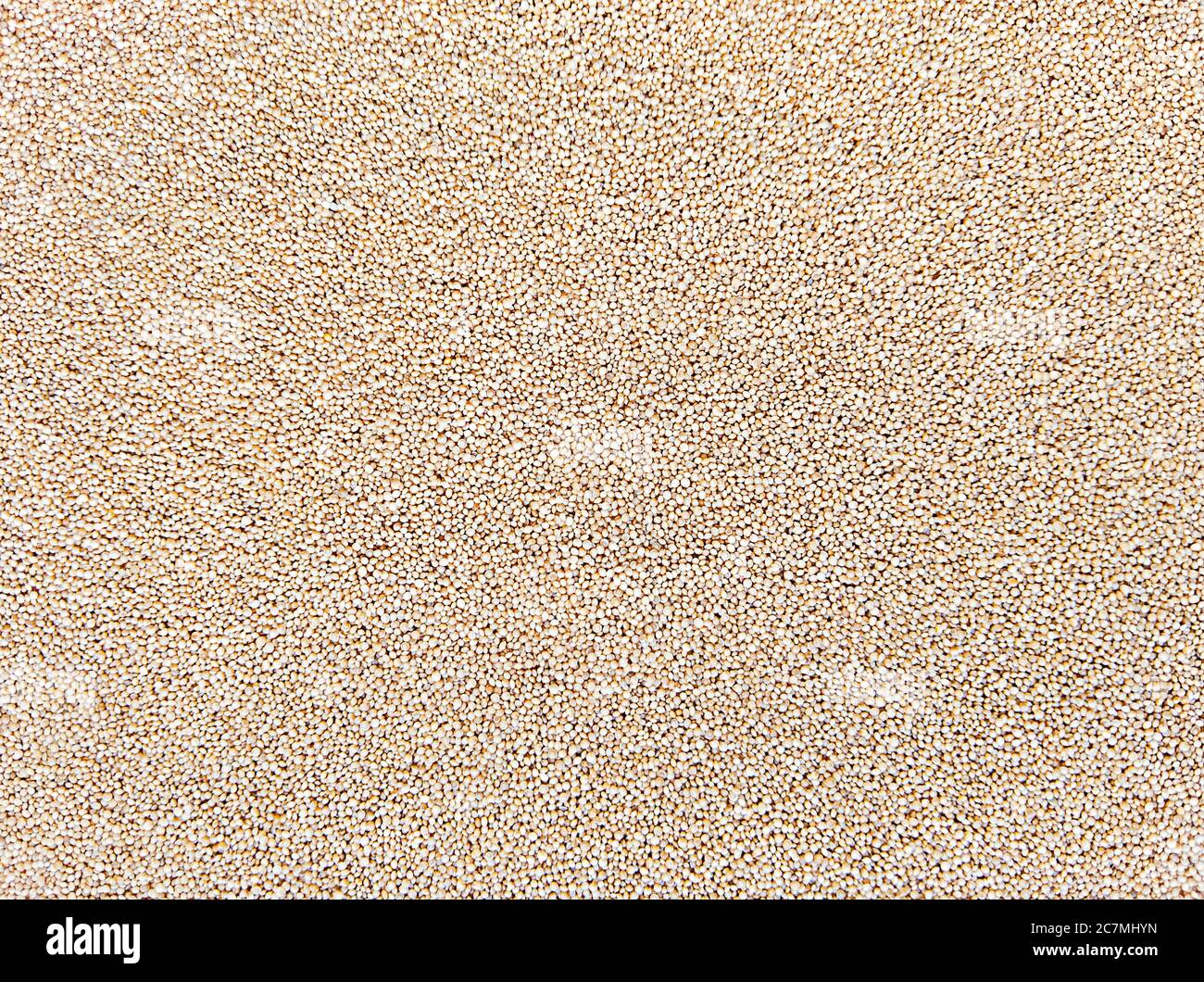 Amaranth seeds food textured background. Stock photo. Stock Photo