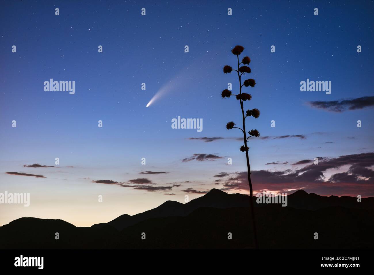 Comet Neowise streaks across the night sky in the Tonto National Forest near Phoenix, Arizona Stock Photo