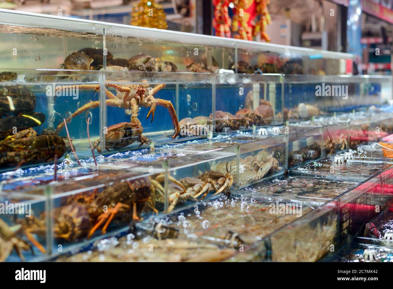 Tanks with fresh crabs. Diferrent types of seafood Stock Photo