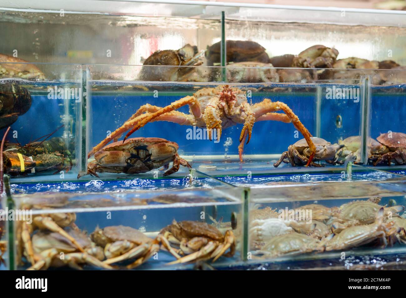 Picture of Crabs in water tank hi-res stock photography and images - Alamy