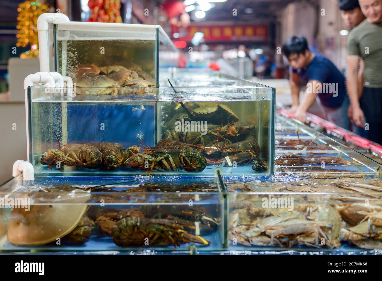 Tanks with different crabs. Big assortment of seafood Stock Photo
