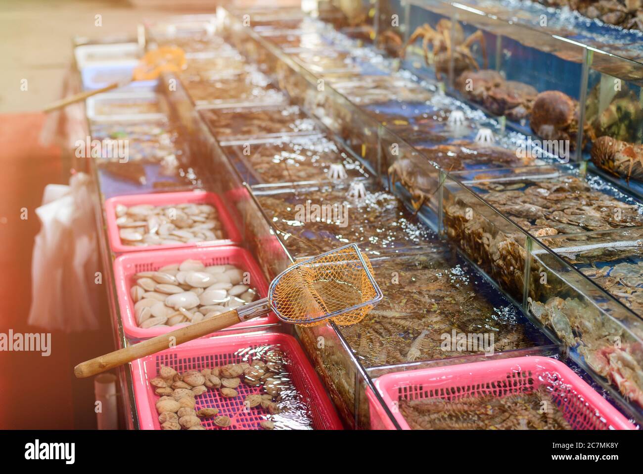 Tanks with fresh seafood and scoop net Stock Photo